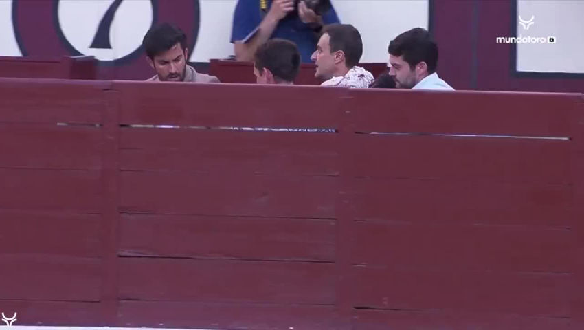 Escalofriante cogida a Francisco José Espada en Madrid - TOROVIDEO | VIDEOS ONLINE DE TOROS I CAZA I MUNDO RURAL